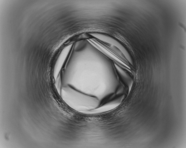 X0000099560436200806131237