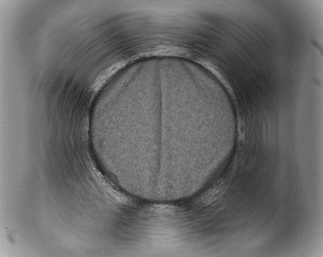X0000099560437200806131237