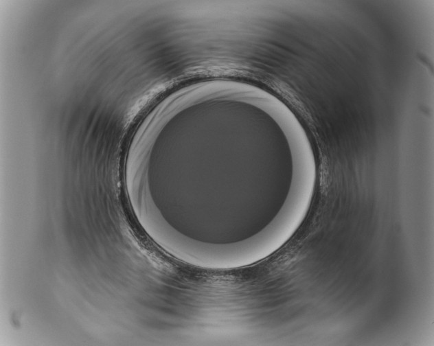 X0000099560438200806131237