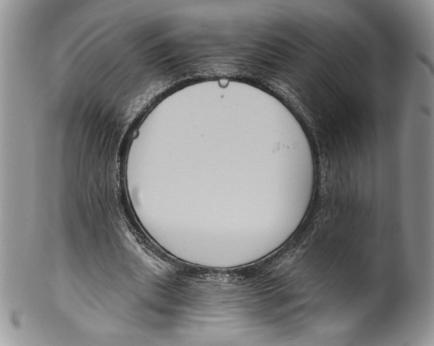 X0000099560439200806131237