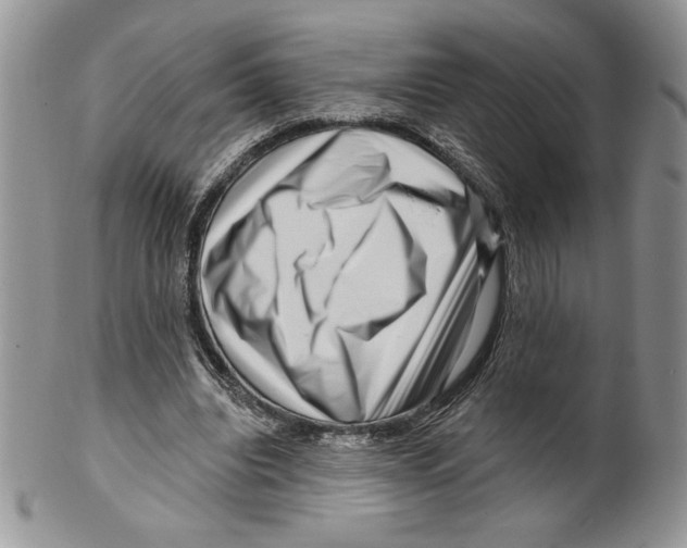 X0000099560440200806131237