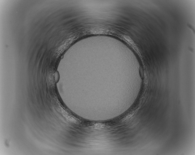 X0000099560441200806131237