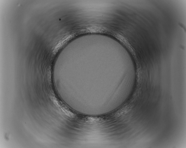 X0000099560442200806131237