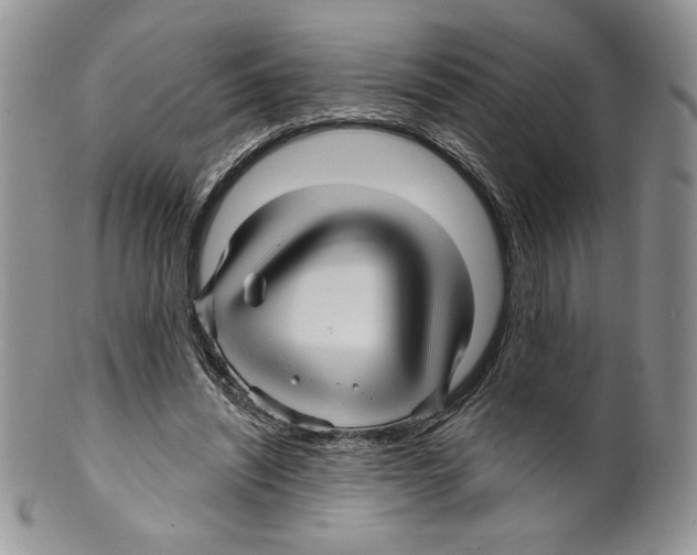 X0000099560444200806131237