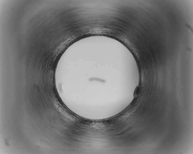 X0000099560445200806131237