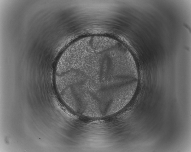 X0000099560447200806131237
