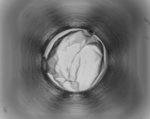 X0000099560448200806131237