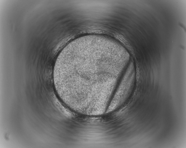 X0000099560449200806131237