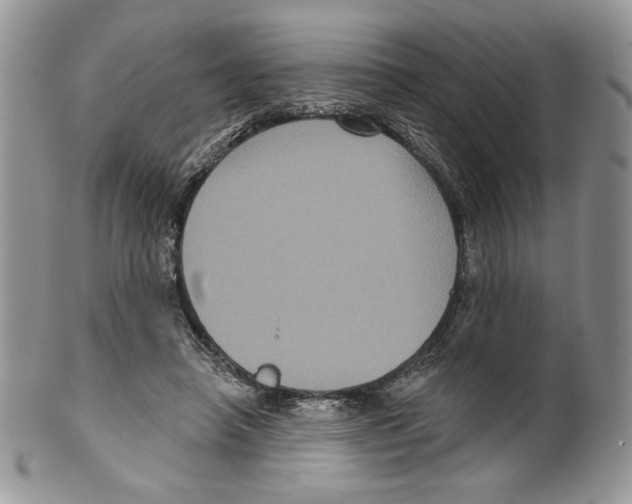 X0000099560450200806131237