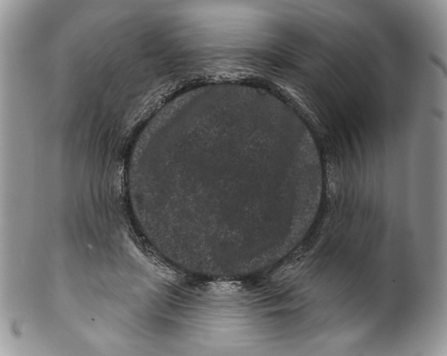 X0000099560451200806131237