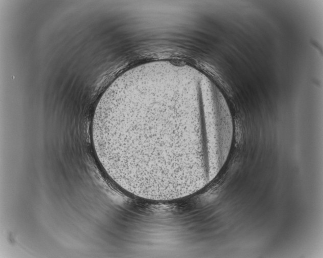 X0000099560453200806131237
