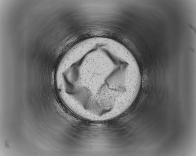 X0000099560454200806131237