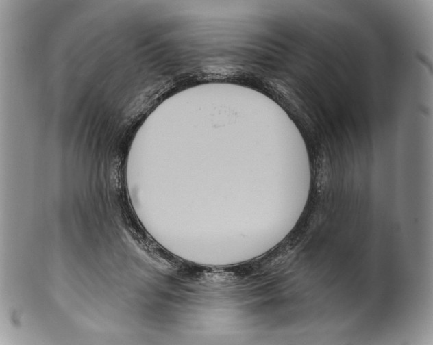 X0000099560455200806131237