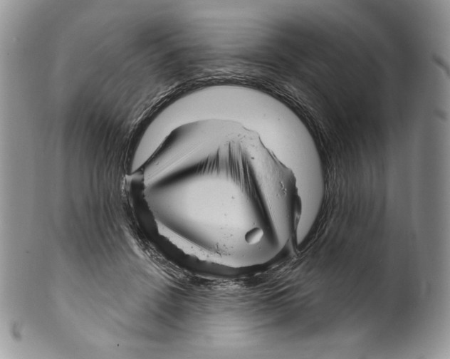 X0000099560456200806131238