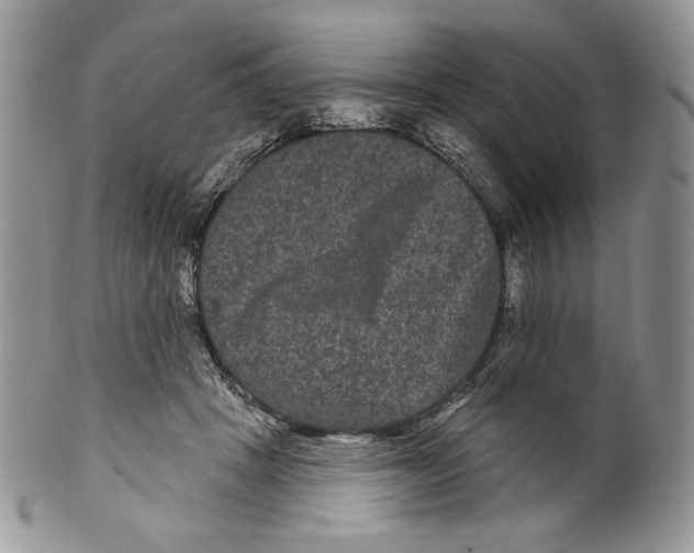 X0000099560457200806131238