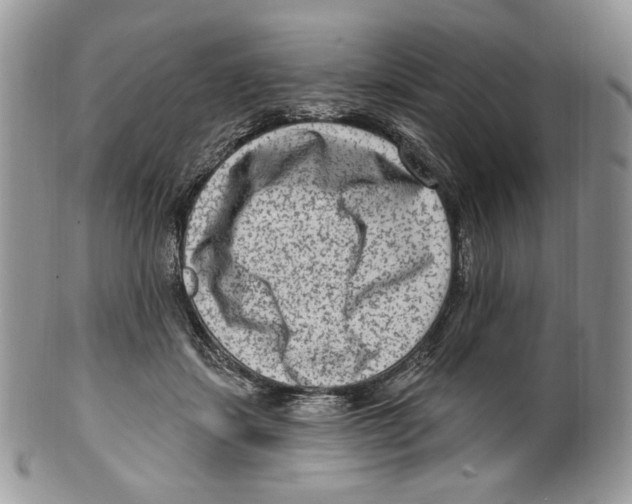 X0000099560459200806131238