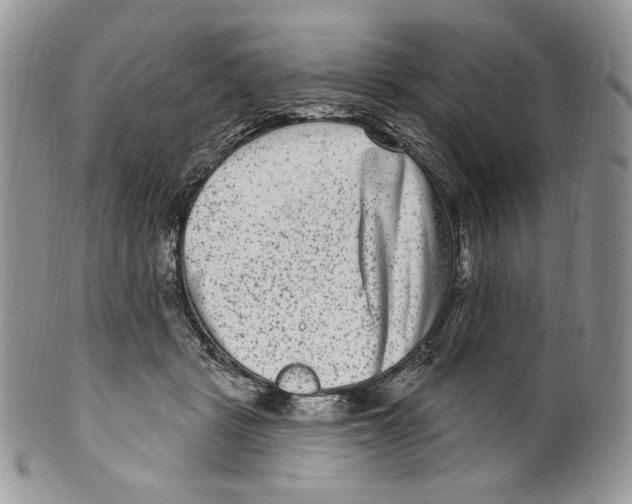 X0000099560461200806131238
