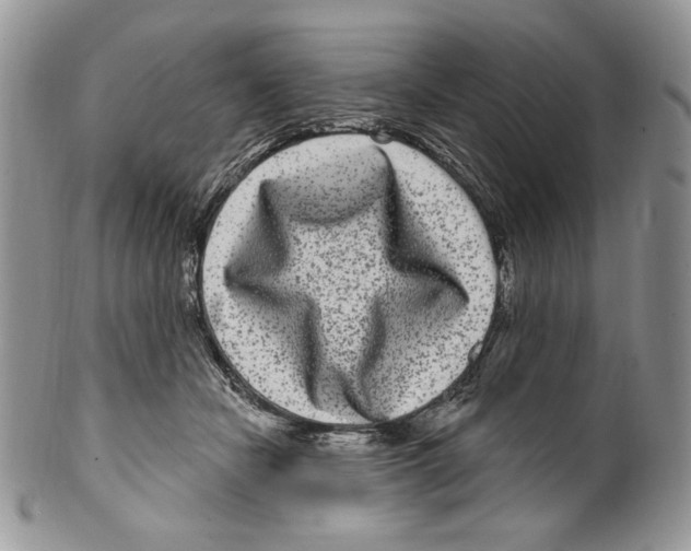 X0000099560462200806131238