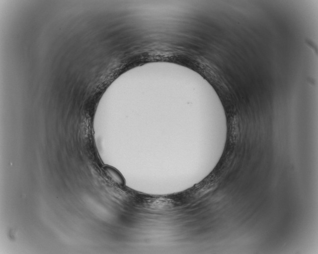 X0000099560463200806131238