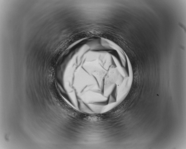 X0000099560464200806131238