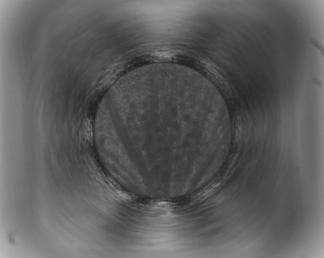 X0000099560467200806131238