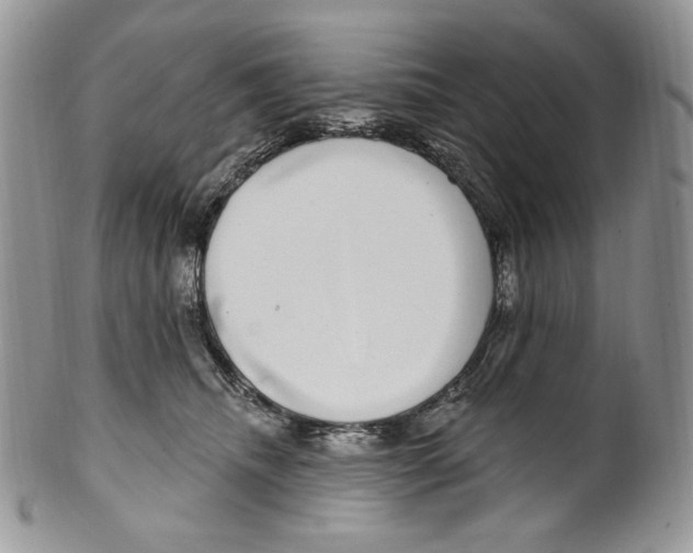 X0000099560468200806131238