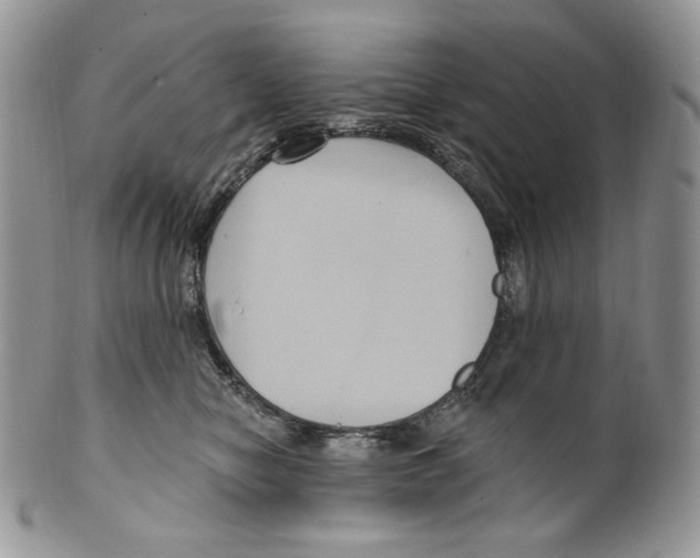 X0000099560470200806131238