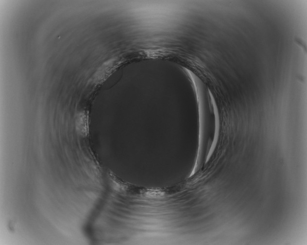 X0000099560471200806131238
