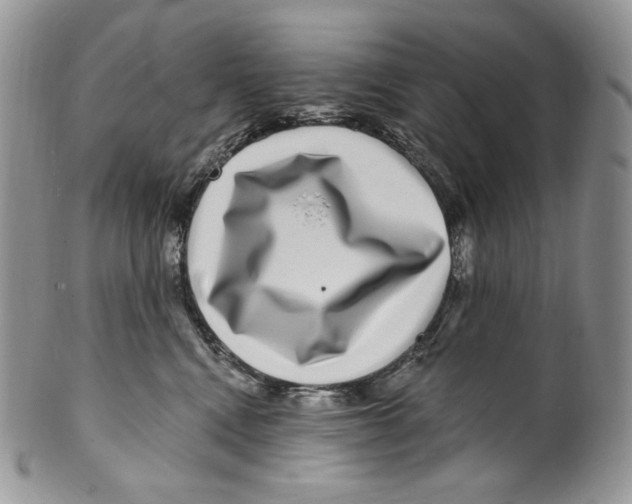 X0000099560472200806131238