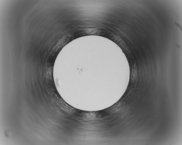X0000099560473200806131238