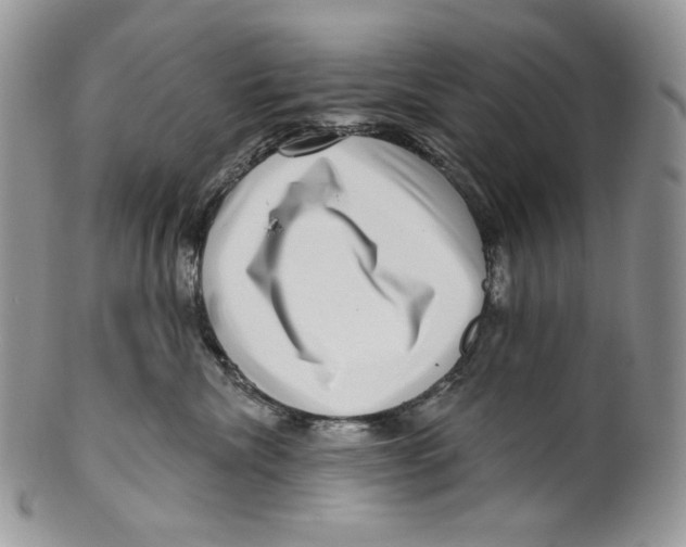 X0000099560476200806131238