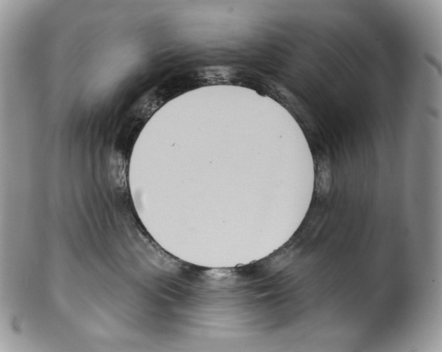 X0000099560477200806131238