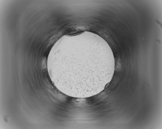 X0000099560478200806131238