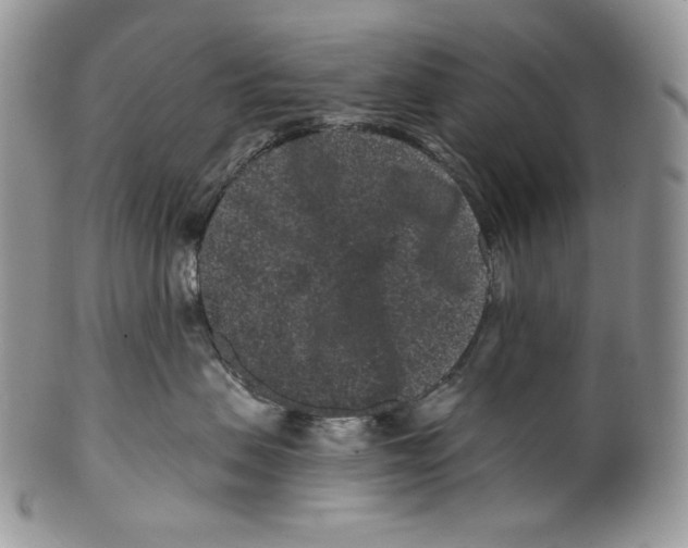 X0000099560479200806131238