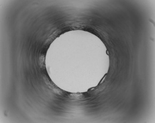 X0000099560480200806131238