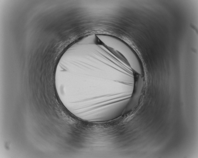 X0000099560481200806131237