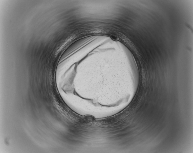 X0000099560482200806131237