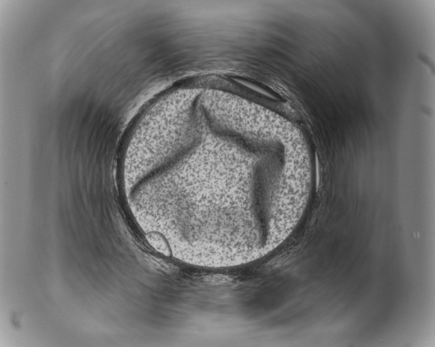 X0000099560483200806131237