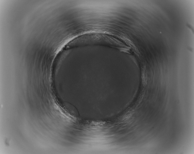 X0000099560484200806131237