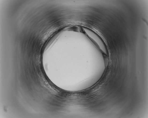 X0000099560485200806131237