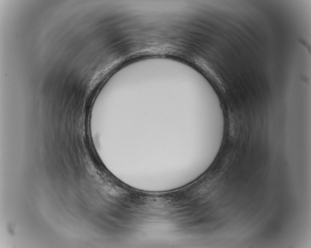 X0000099560486200806131237