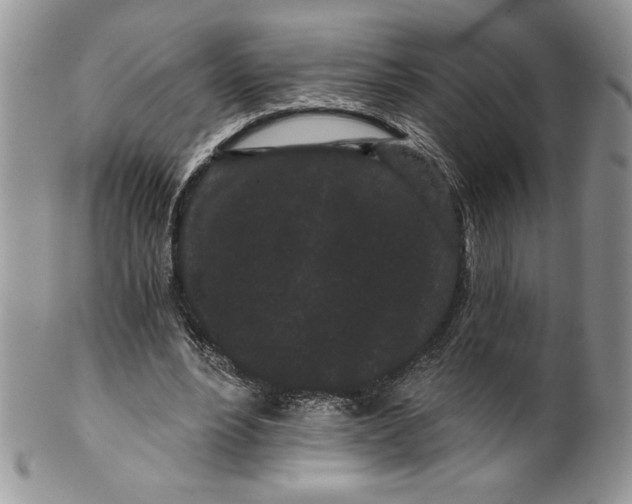 X0000099560488200806131237