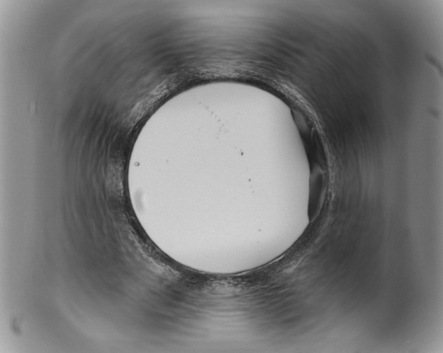 X0000099560489200806131237