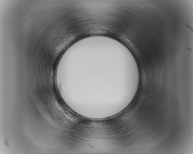 X0000099560490200806131237