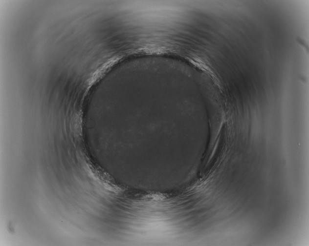 X0000099560492200806131237