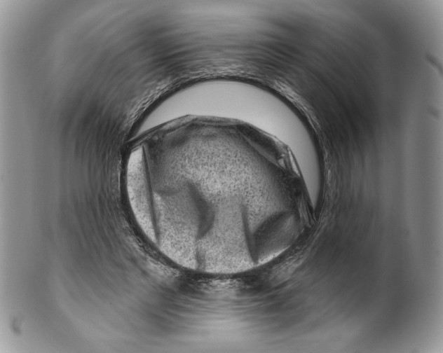 X0000099560493200806131237