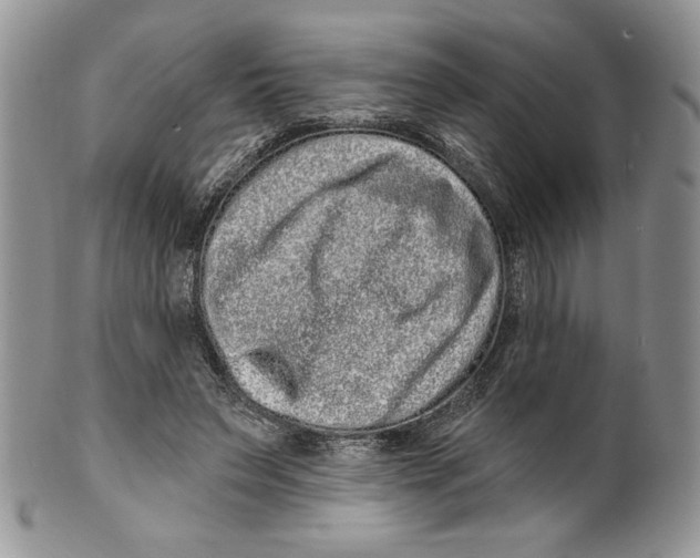 X0000099560495200806131237