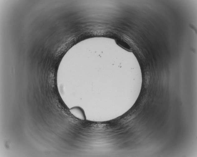 X0000099560497200806131237