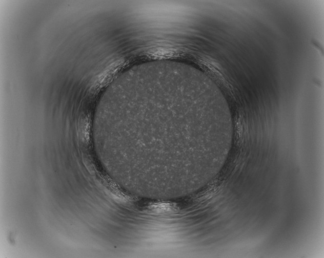 X0000099560499200806131237
