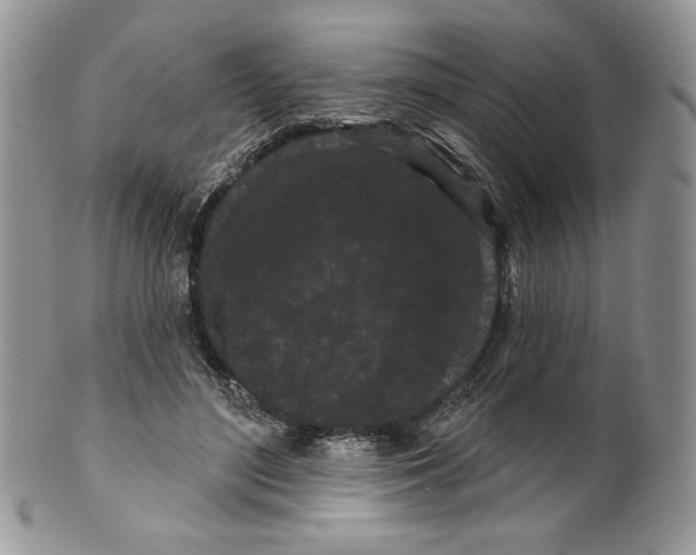 X0000099560500200806131237
